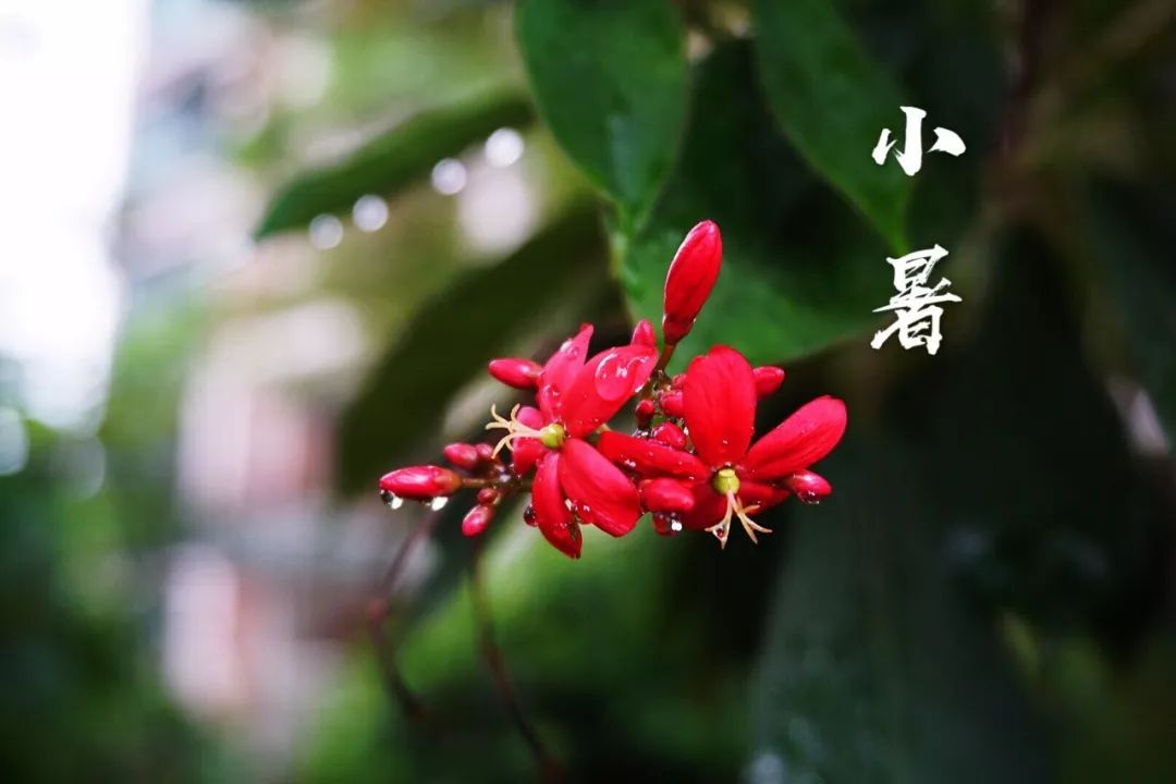 小暑|時光無涯，KA螺旋錐減速機廠家